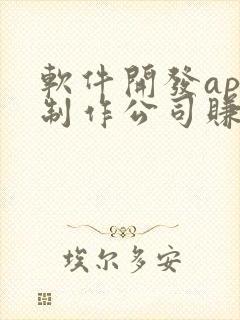 软件开发app制作公司赚钱吗