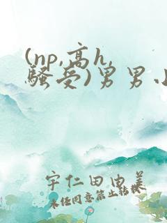 (np,高h,骚受)男男小说