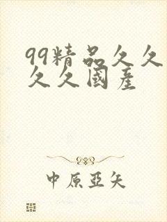 99精品久久久久久国产