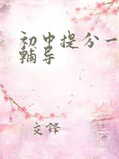 初中提分一对一辅导