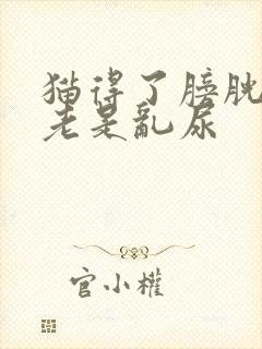 猫得了膀胱炎后老是乱尿