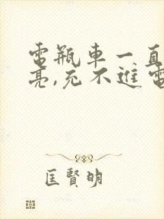 电瓶车一直绿灯亮,充不进电