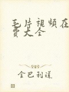 毛片视频在线免费大全