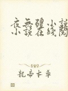 夜无疆小说辰东小说在线阅读起点