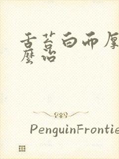 舌苔白而厚腻怎么治