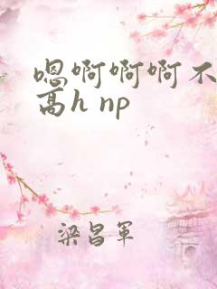 嗯啊啊啊不要啊高h np
