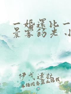 一婚还比一婚高晨雾的光 小说