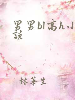 男男bl高h小说