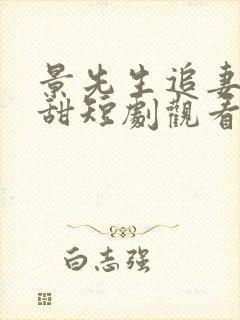 景先生追妻有点甜短剧观看完整版