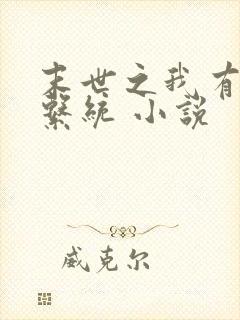 末世之我有最强系统 小说