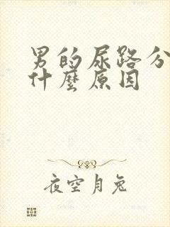 男的尿路分叉是什么原因