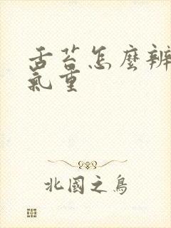 舌苔怎么辨别湿气重