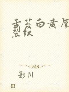 舌苔白黄厚腻有裂纹