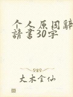 个人原因辞职申请书30字