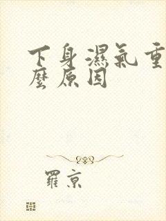 下身湿气重是什么原因