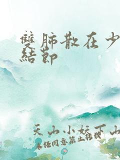 双肺散在少许微结节