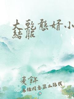 大乾憨婿小说完结版