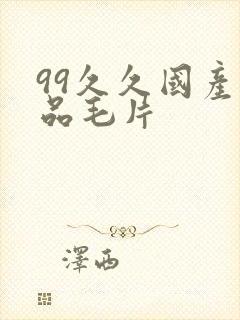 99久久国产精品毛片