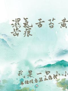 湿气舌苔黄腻有齿痕