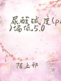 尿酸碱度(ph)偏低5.0