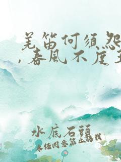 羌笛何须怨杨柳, 春风不度玉门关.