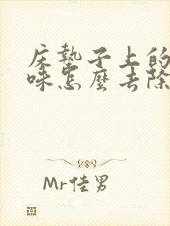 床垫子上的猫尿味怎么去除