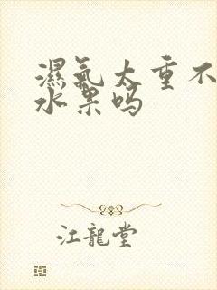 湿气太重不能吃水果吗