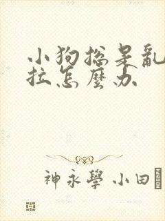 小狗总是乱尿乱拉怎么办