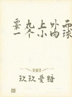 睾丸上外面长了一个小肉球硬硬的