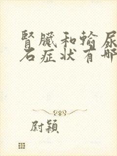 肾脏和输尿管结石症状有哪些