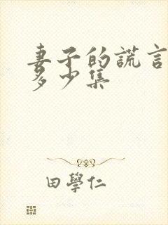 妻子的谎言总共多少集