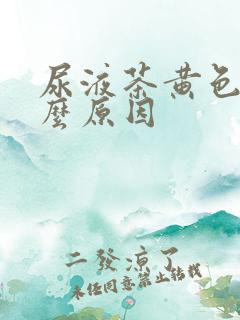 尿液茶黄色是什么原因