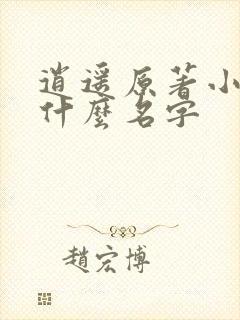 逍遥原著小说叫什么名字