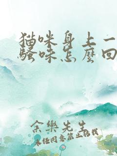 猫咪身上一股尿骚味怎么回事