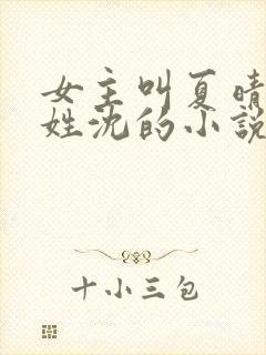 女主叫夏晴男主姓沈的小说