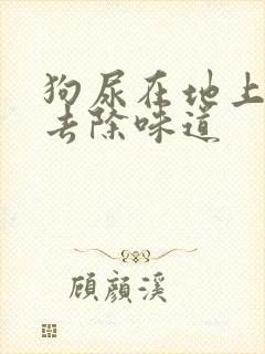 狗尿在地上怎么去除味道