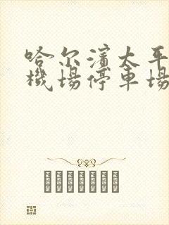 哈尔滨太平国际机场停车场