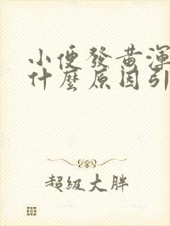 小便发黄浑浊是什么原因引起的