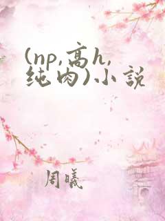 (np,高h,纯肉)小说