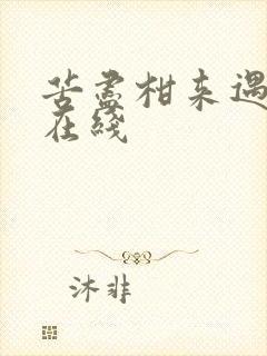 苦尽柑来遇见你在线