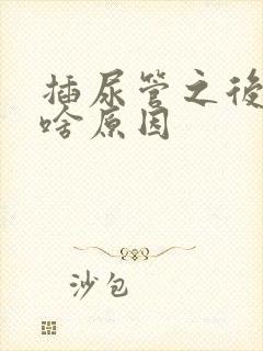 插尿管之后漏尿啥原因