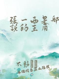 张一西是哪部小说的主角