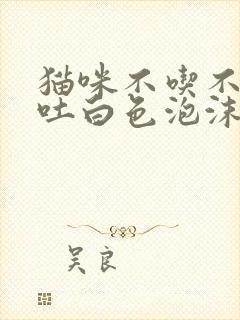 猫咪不吃不喝呕吐白色泡沫精神不好