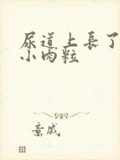 尿道上长了白色小肉粒