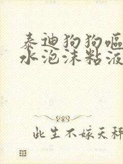 泰迪狗狗呕吐黄水泡沫粘液