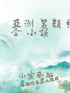 亚洲 另类 综合 小说