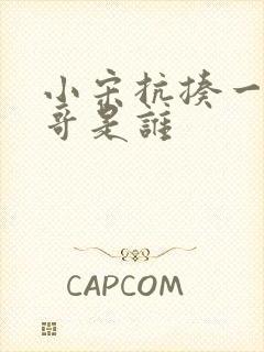 小宋抗揍一哥王哥是谁