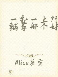 一对一上门家教辅导哪个好