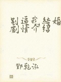 别逼我结婚分集剧情介绍