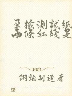 孕检测试纸出现两条红线是怀孕了吗